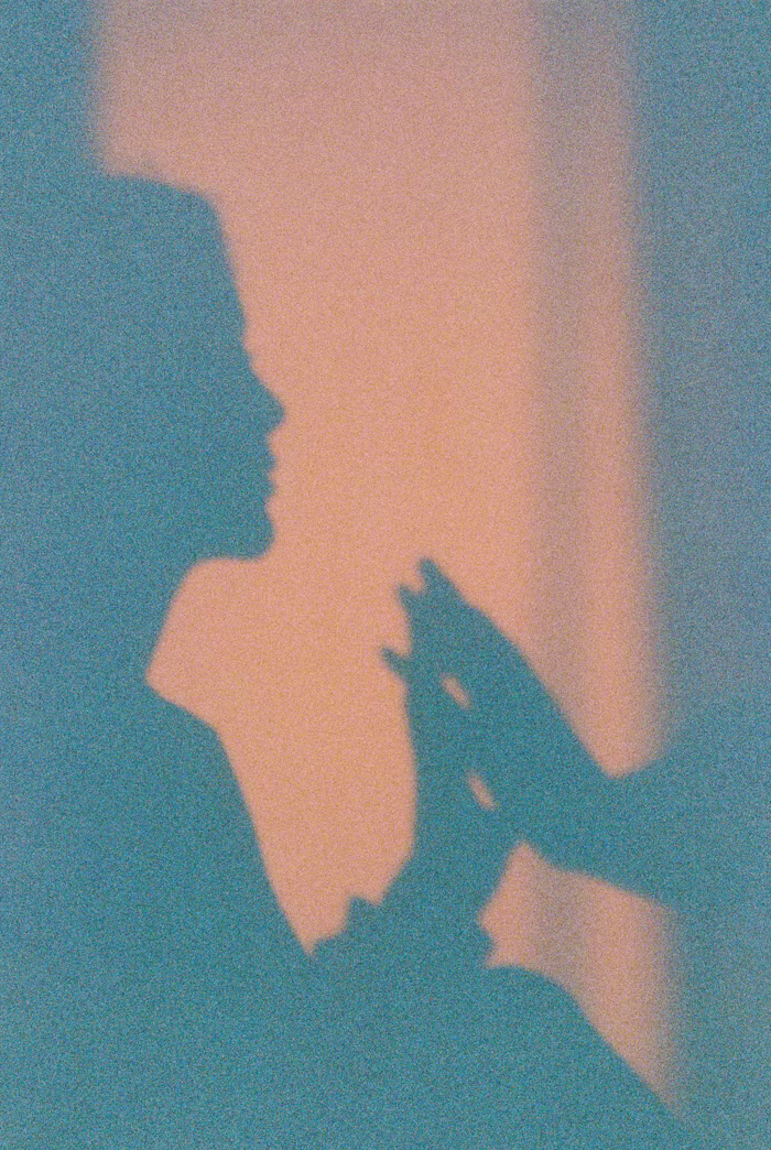 VitePress集成Twikoo评论